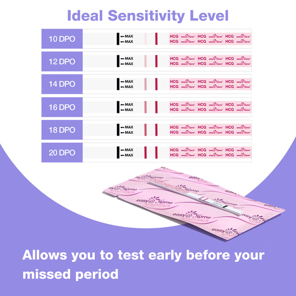 Easy@Home Pregnancy Test Strips Kit: 50-Pack HCG Test Strips, Early Detection Home Pregnancy Test EZW1-S:50