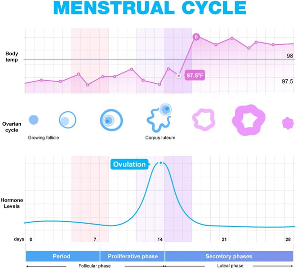 Easy@Home Ovulation & Pregnancy Test Strips Kit: 40 Ovulation Strips and 10 Pregnancy Tests– Accurate Fertility Tracker OPK - Powered by Premom Ovulation APP | 40LH + 10HCG + 50 Urine Cups