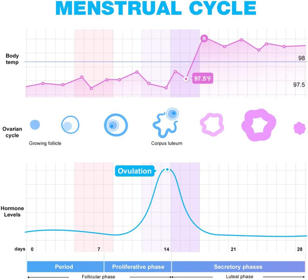 Ovulation & Pregnancy Test Strips Kit: Easy@Home 25 Ovulation Tests 10 Pregnancy Tests & 40 Large Urine Cups – Powered by Premom Ovulation APP | 25LH + 10HCG + 40 Urine Cups