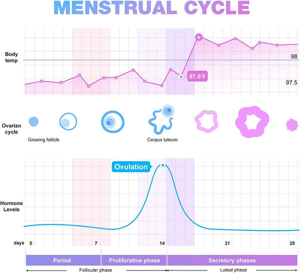 Easy@Home Ovulation & Pregnancy Test Strips Kit: 25 Ovulation Strips and 10 Pregnancy Tests – Accurate Fertility Tracker OPK | 25LH + 10HCG