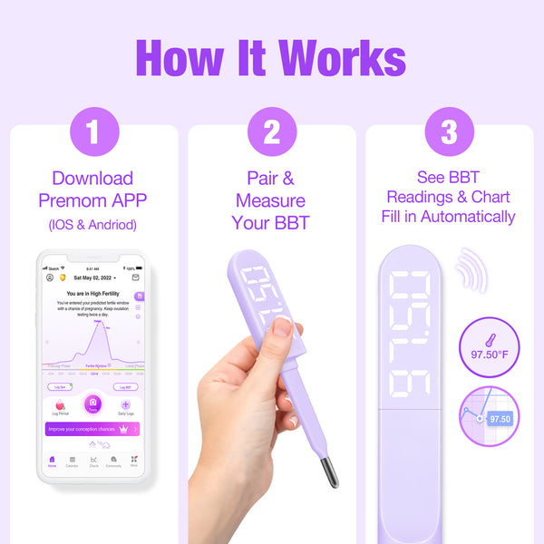 Easy@Home Basal Body Thermometer: Accurate BBT Thermometer for Ovulation - Bluetooth & USB Rechargeable & LED Display - 1/100th Degree High Precision and Memory Recall with Premom App - EBT089 Purple