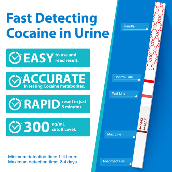 Areta Cocaine Test Strip: Highly Sensitive Cocaine Drug Test Strips, 10 Pack Cocaine Home Screen Testing Kit, 300 ng/mL Cutoff, Instant Results in 5 Min -#ASCOC-114