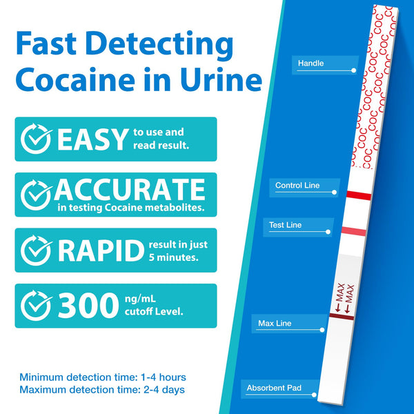 Areta Marijuana Test Strips: THC Drug Urine At Home Testing Kits for Over the Counter Use  Result in 5 Minutes - Accurate drug Screen Test  50ng/mL Cutoff Level - #ASCOC-114+CUP:10+10 (40ML)