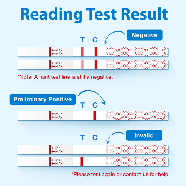 Areta Marijuana Test Strips: THC Drug Urine At Home Testing Kits for Over the Counter Use  Result in 5 Minutes - Accurate drug Screen Test  50ng/mL Cutoff Level - #ASCOC-114+CUP:10+10 (40ML)