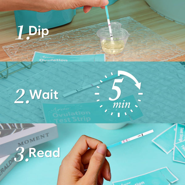 Areta Ovulation Test Strips Kit: 30 Tests | Accurate & Reliable for Women | Fast & Convenient Fertility Tracking | High Accuracy Ovulation Test Kit Blue | Expiration Date 11/21/2026