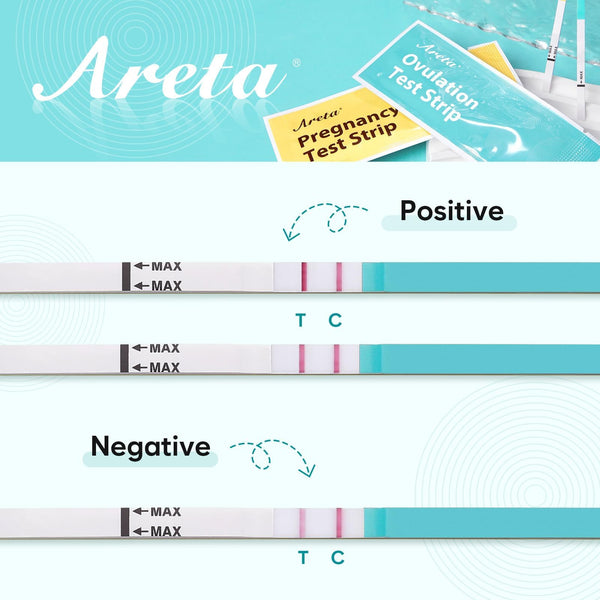 Areta Ovulation Test Strips Kit: 30 Tests | Accurate & Reliable for Women | Fast & Convenient Fertility Tracking | High Accuracy Ovulation Test Kit Blue | Expiration Date 11/21/2026