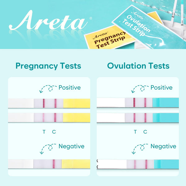 Areta Ovulation & Pregnancy Test Strips: 20 Ovulation Strips & 10 Pregnancy Tests Combo Kit | Accurate at-Home Fertility Tracker | Exd 11/24/2026