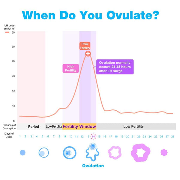 Easy@Home 100 Ovulation Test and 20 Pregnancy Test Strips, FSA Eligible Ovulation Test Kit Powered by Premom Ovulation Predictor Free APP,100LH + 20HCG + 120 Urine Cups-Package May Vary