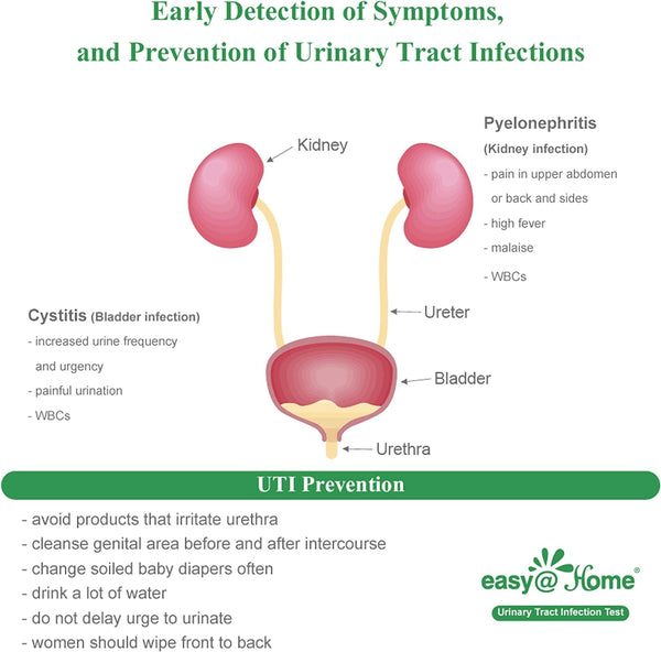 Easy@Home Urine Dip UTI Testing Strips - Home Health Check, 10 Pouches (UTI-10P)