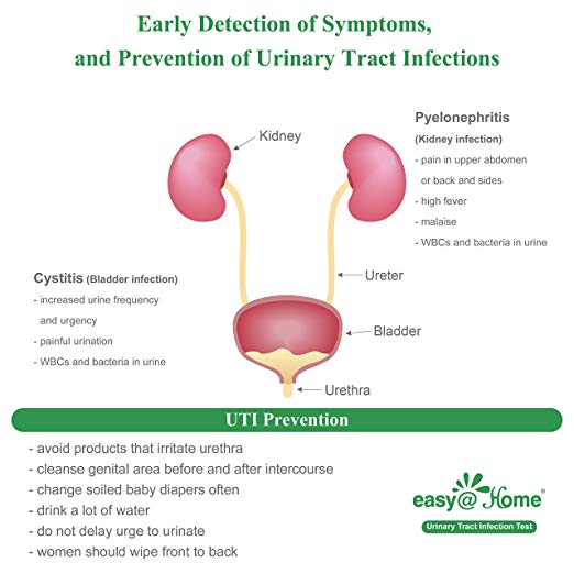 Uti Draw Easy@Home(UTI-100P) Urinary Tract Infection Test Strips (UTI Test Stri